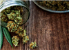 Thumbnail for Cannabis Tax Revenue Update