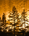 Frequently Asked Questions About Wildfires in California