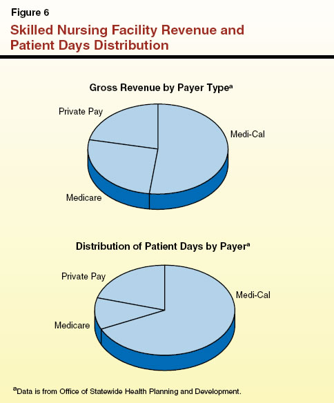 Skilled Nursing Facility Revenue and Patient Days Distribution
