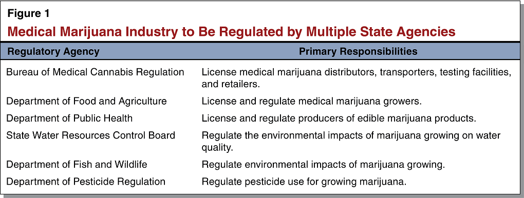Figure 1 - Medical Marijuana Industry to Be Regulated by Multiple State Agencies