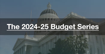 Image - The 2024-25 Budget Series