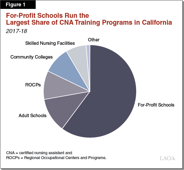 Figure 1 - For-Profits Account for the Largest Share of CNA Training Programs in California