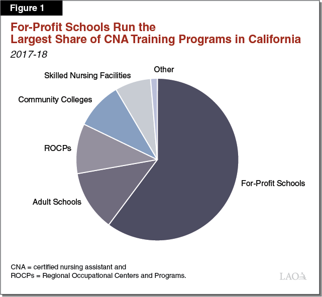 the-2018-19-budget-meeting-workforce-demand-for-certified-nursing