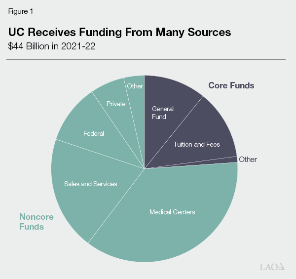 Multiple UC sports programs end 2022 fiscal year in deficit, News