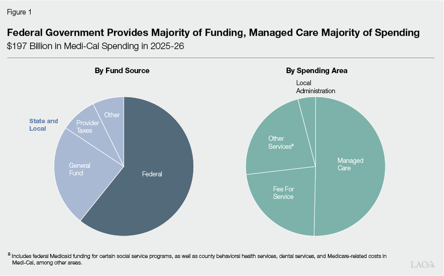 Figure 1 - Federal Government Provides Majority of Funding, Managed Care Majority of Spending